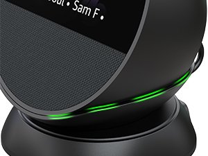 Special style echo spot mount